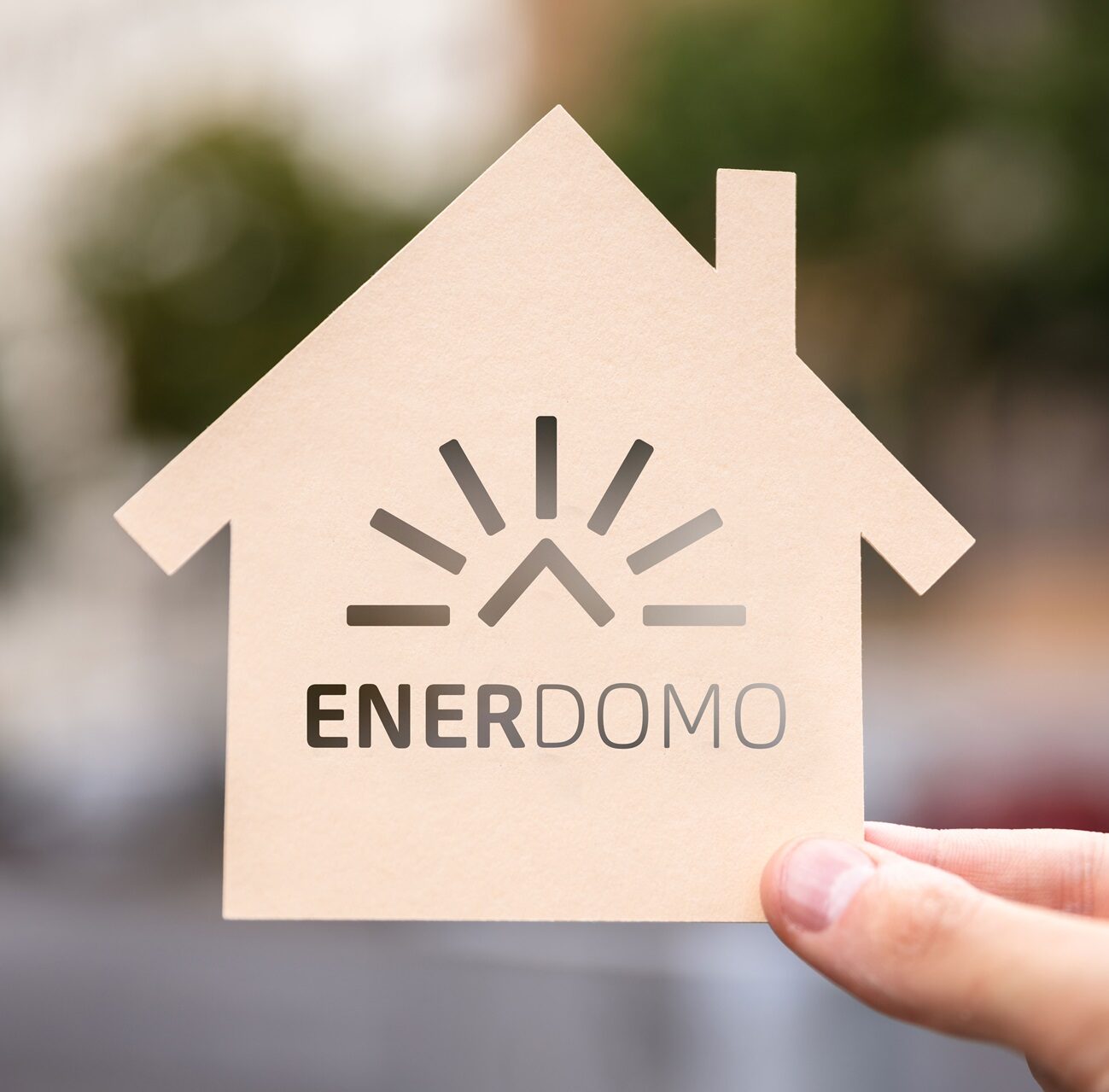 ENERDOMO-energieberatung ENERDOMO Energieberatung